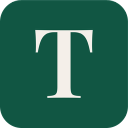 TDM Insights brand mark